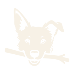 Louie, the Chippie dog